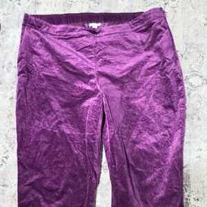 J.Jill Velour Pull Up Pants Size 20